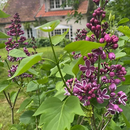 Couette-café Le Clos Des Lilas 3*