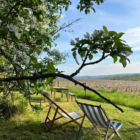 Гостевой дом Le Clos Des Lilas Montreuil-aux-Lions