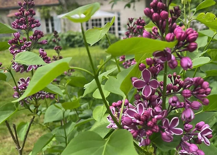 Guest house Le Clos Des Lilas 3*