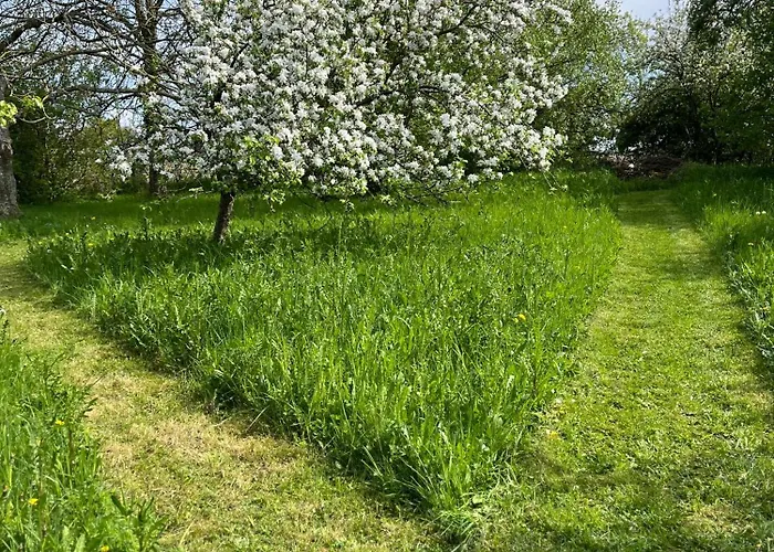 Le Clos Des Lilas 3*