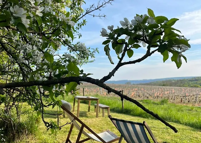 Guest house Le Clos Des Lilas Montreuil-aux-Lions